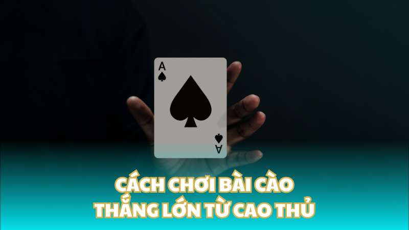 Cách chơi bài cào để thắng mọi trò chơi